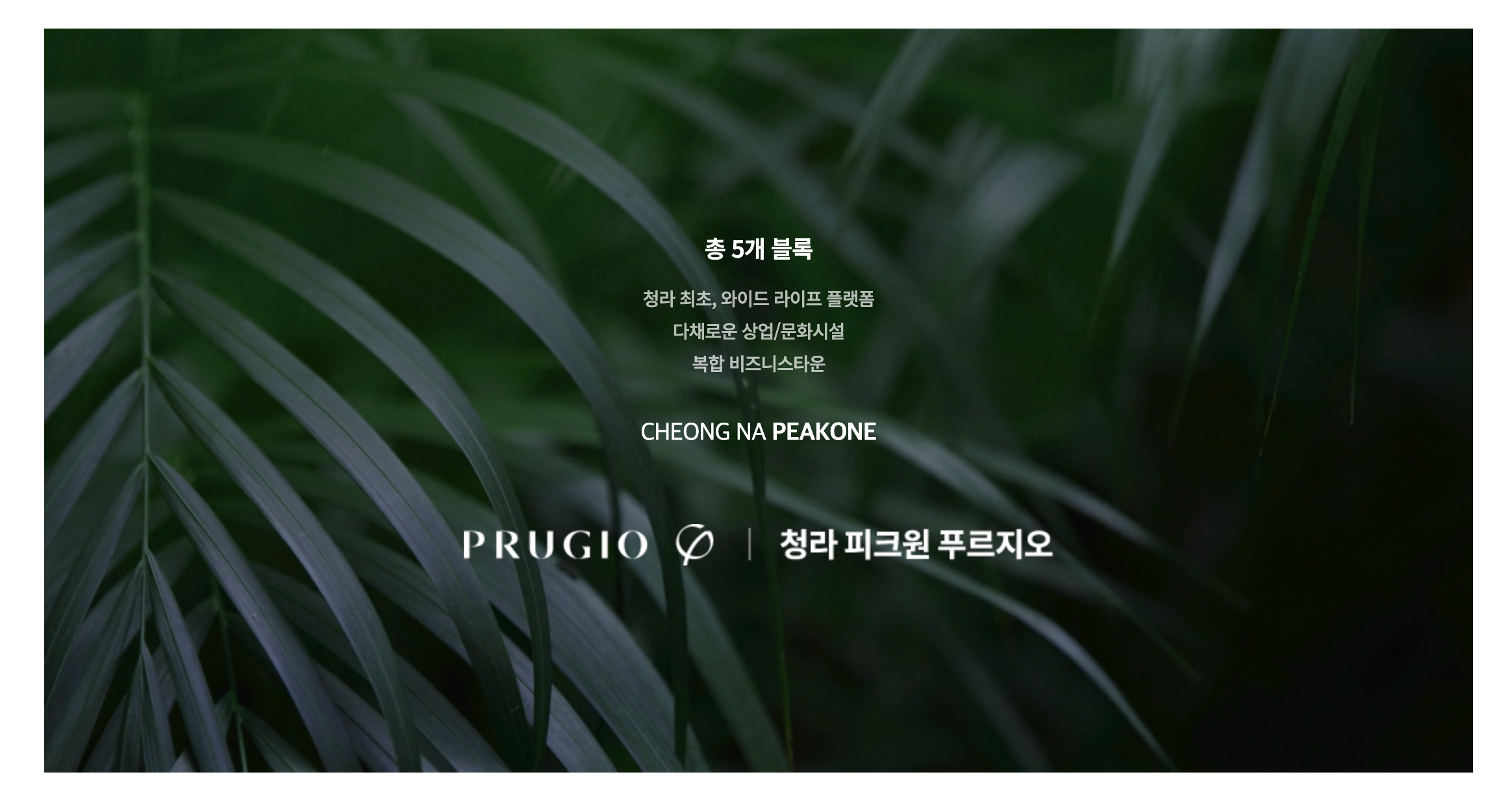 스크린샷 2025-06-14 오전 11.18.45.png